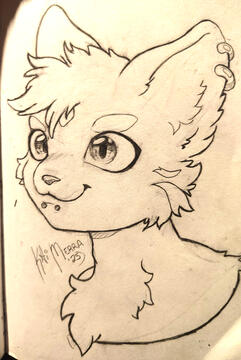 Drawing My Lover's Sona. Not much to see here I suppose the mother could be done better does not necessarily look like a fox looks more like a cat however his thing is he originally wanted to be called a cat and then sooner instead of kit Sony which implie